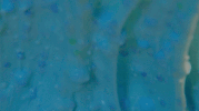 colors slime GIF by Beck