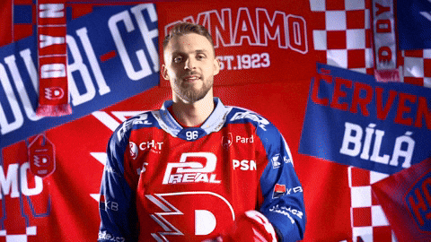 Hockeytown GIF by HC Dynamo Pardubice