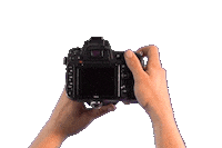 merelvandoorenphotography photography photographer sony canon Sticker