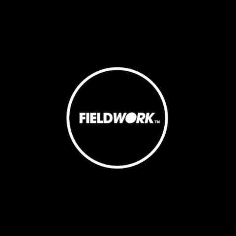 teamfieldwork giphyupload logo ring fw GIF