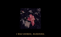 video art love GIF by NOWNESS