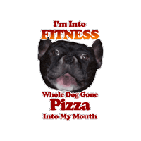 sunnyspizzeria fitness usf south dakota augie Sticker