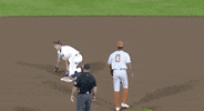 Baseball College GIF by NCAA Championships