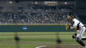 Baseball College GIF by NCAA Championships