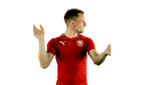 Czech Republic Ceskarepre Sticker by 2score