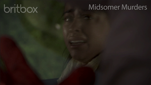 midsomer murders no GIF by britbox