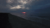south carolina GIF