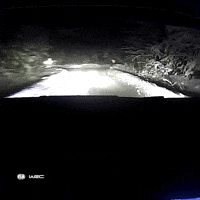 Driving No Problem GIF by FIA World Rally Championship