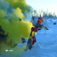 Driving Rally Sweden GIF by FIA World Rally Championship