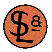 American Love Sticker by slowandlow