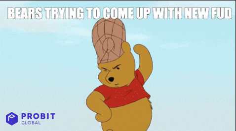 Bear Crypto GIF by ProBit Global