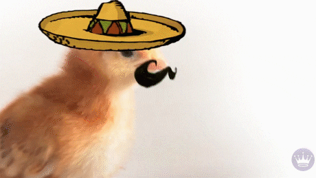 Hallmark Ecards Mexico GIF by Hallmark Gold Crown