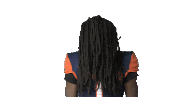 Dreadlocks Cousin It Sticker by Carson-Newman Athletics