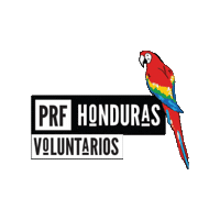 Prf Sticker by Producer & Roaster Forum