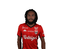 Ligue 2 Football Sticker by EA Guingamp