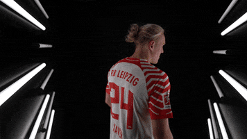 Germany Yes GIF by Bundesliga