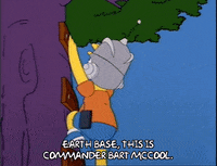 playing season 5 GIF