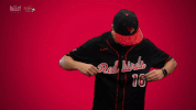 illinois state mvc GIF by Missouri Valley Conference
