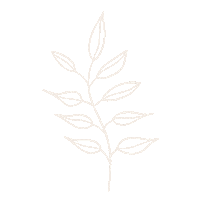 PatCas822 anna cecilia ac gifs anna cecilia joyería anna cecilia gifs Sticker