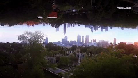 viceland GIF by NOISEY