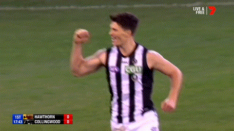 Aussie Rules Reaction GIF by AFL