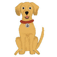 Golden Retriever Dog Sticker by Mandalasparaelalma