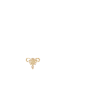 sriwijayaair swipe up indonesia bali airlines Sticker