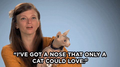 Cats Plastic Surgery GIF by E!