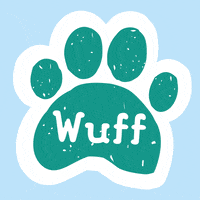 kochstrasse dog kochstrasse hund hundeliebe GIF