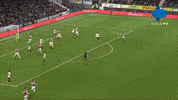 Burnley GIF by MolaTV
