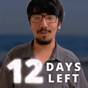 12 Days GIF