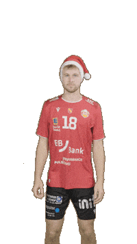 Deutschland Sticker by Volleyball Bundesliga
