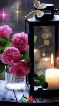 Sol Luna GIF by Murcianys LLC