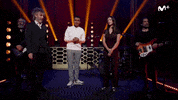 Musica Concierto GIF by Movistar+