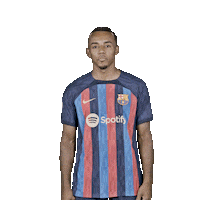 Sport Barca Sticker by FC Barcelona