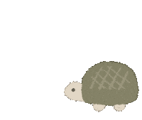 Turtle 動物 Sticker