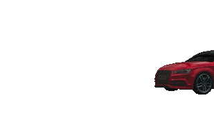Car Audi Sticker