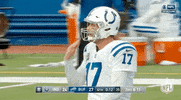 National Football League GIF by NFL