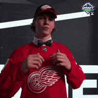 nhl sports sport hockey nhl GIF