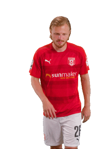 hallescherfussballclub giphyupload football soccer fussball Sticker