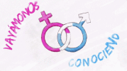 lyric video GIF by Shakira