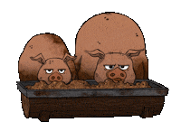 cinicgames pig the wardrobe cinic games hungry pig Sticker