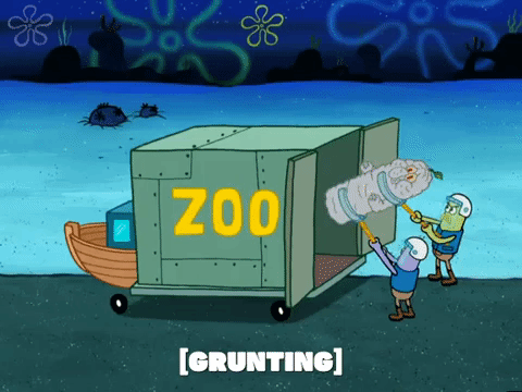 season 4 GIF by SpongeBob SquarePants
