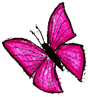 Pink Butterfly Sticker