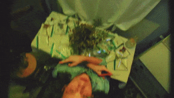 bristonmaroney music music video doctor indiana GIF