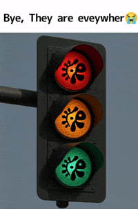 Cortis GIF