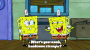 season 9 episode 20 GIF by SpongeBob SquarePants