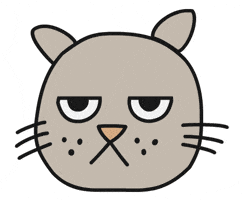 Grumpy Cat GIF by Thank You Coffee