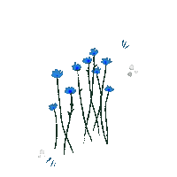 Flowers Ayse Sticker