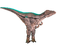 HireDinosaurs  Sticker